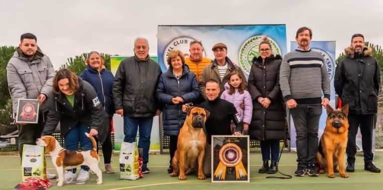 Bullmastiff ganador de un campeonato posando junto a  los otros perros premiados y los jueces